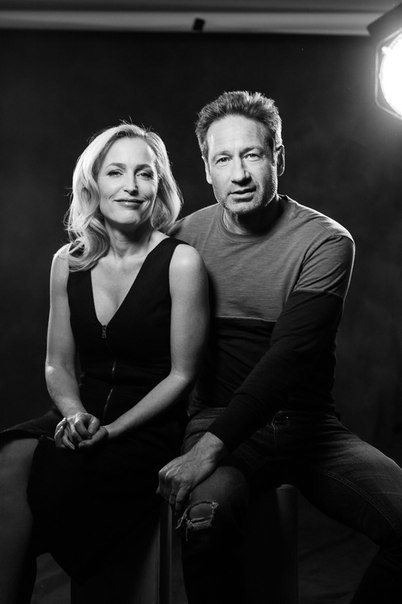 Gillovny 6